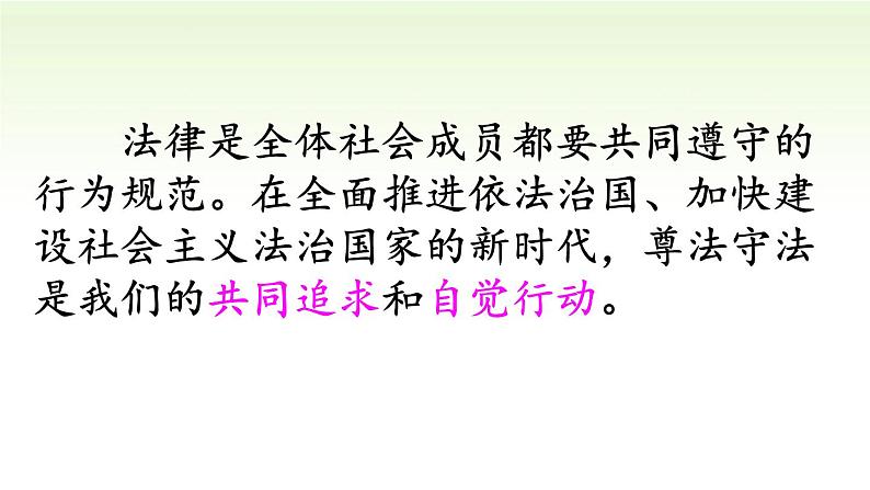 2024秋人教版道德与法治八年级上册5.1 法不可违课件新教材第3页