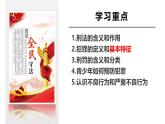 5.2 预防犯罪 2024-2025学年部编版道德与法治八年级上册课件
