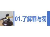5.2 预防犯罪 2024-2025学年部编版道德与法治八年级上册课件