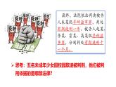 5.2 预防犯罪 2024-2025学年部编版道德与法治八年级上册课件