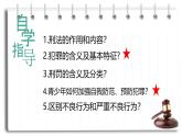 5.2 预防犯罪2024-2025学年部编版道德与法治八年级上册课件