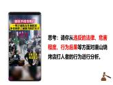 5.2 预防犯罪 2024-2025学年部编版道德与法治八年级上册课件