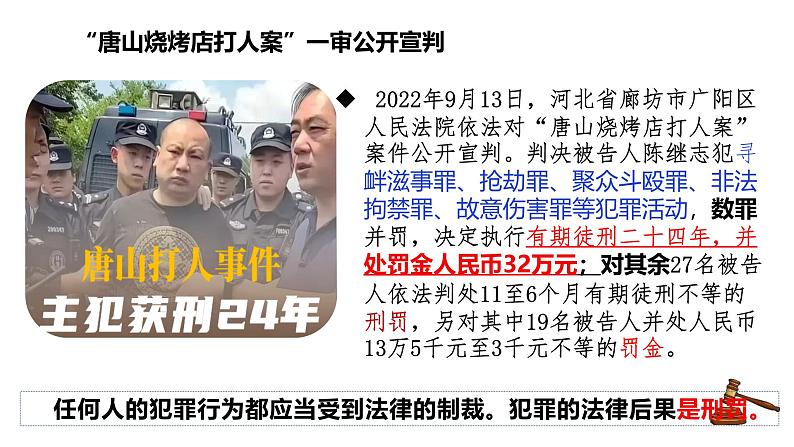 5.2 预防犯罪 2024-2025学年部编版道德与法治八年级上册课件第8页