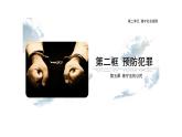 5.2 预防犯罪2024-2025学年部编版道德与法治八年级上册课件