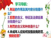 5.2 预防犯罪2024-2025学年部编版道德与法治八年级上册课件