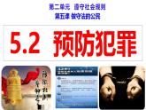 5.2 预防犯罪 2024-2025学年部编版道德与法治八年级上册课件