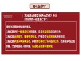 5.2 预防犯罪2024-2025学年部编版道德与法治八年级上册课件