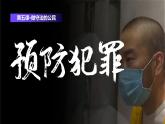 5.2 预防犯罪2024-2025学年部编版道德与法治八年级上册课件