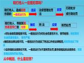 5.2 预防犯罪2024-2025学年部编版道德与法治八年级上册课件