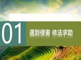 5.3 善用法律2024-2025学年部编版道德与法治八年级上册课件