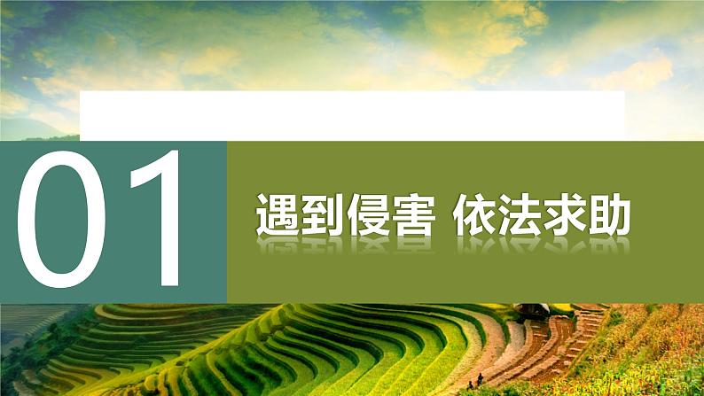 5.3 善用法律2024-2025学年部编版道德与法治八年级上册课件第3页