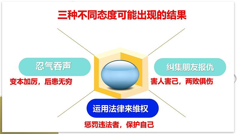 5.3 善用法律2024-2025学年部编版道德与法治八年级上册课件第5页