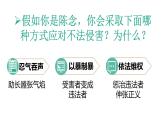 5.3 善用法律2024-2025学年部编版道德与法治八年级上册课件