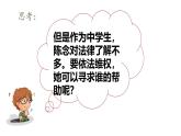 5.3 善用法律2024-2025学年部编版道德与法治八年级上册课件