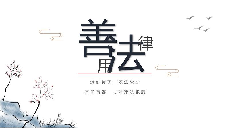 5.3 善用法律2024-2025学年部编版道德与法治八年级上册课件第2页