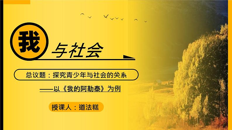 1.1我与社会 （同步 课件） -2024-2025学年统编版道德与法治八年级上册08