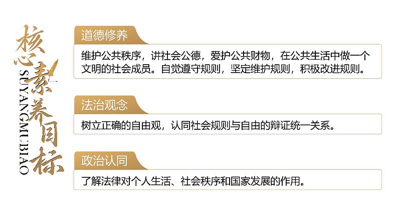 3.2 《遵守规则》 课件 -2024-2025学年统编版道德与法治八年级上册第3页