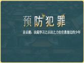 5.2预防犯罪 （同步 课件） -2024-2025学年统编版道德与法治八年级上册