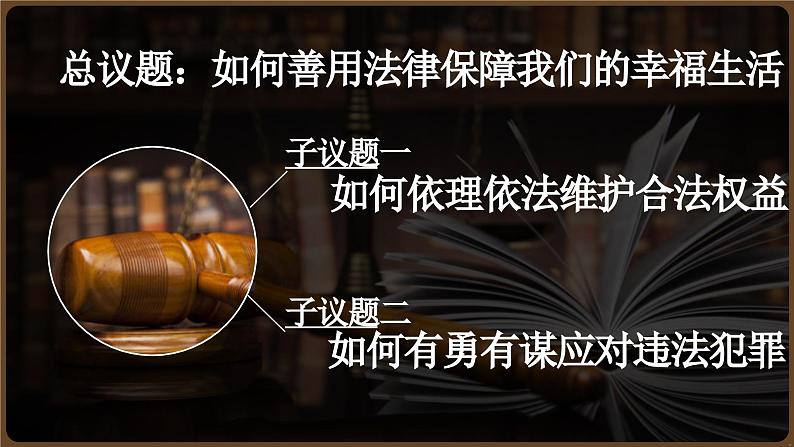 5.3善用法律 （同步 课件） -2024-2025学年统编版道德与法治八年级上册第3页