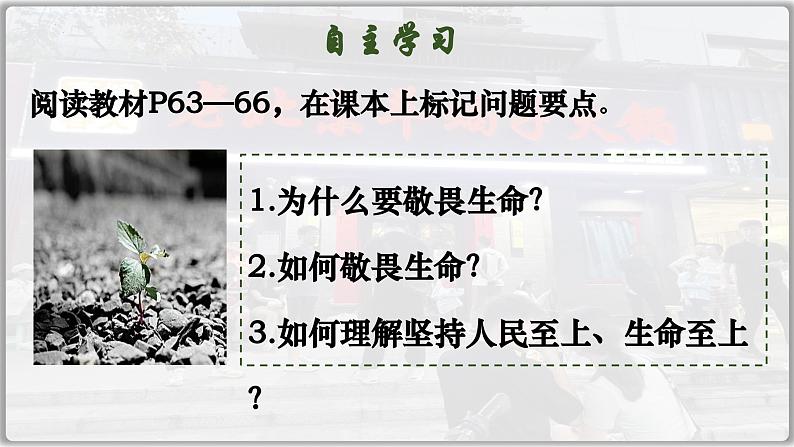 8.2敬畏生命（课件）  -2024-2025学年统编版道德与法治七年级上册第2页