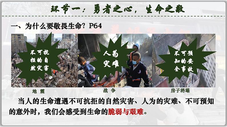 8.2敬畏生命（课件）  -2024-2025学年统编版道德与法治七年级上册第7页