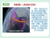 8.1《认识生命》2024-2025学年七年级道德与法治课件+教案