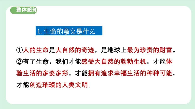 8.1《认识生命》2024-2025学年七年级道德与法治课件第6页