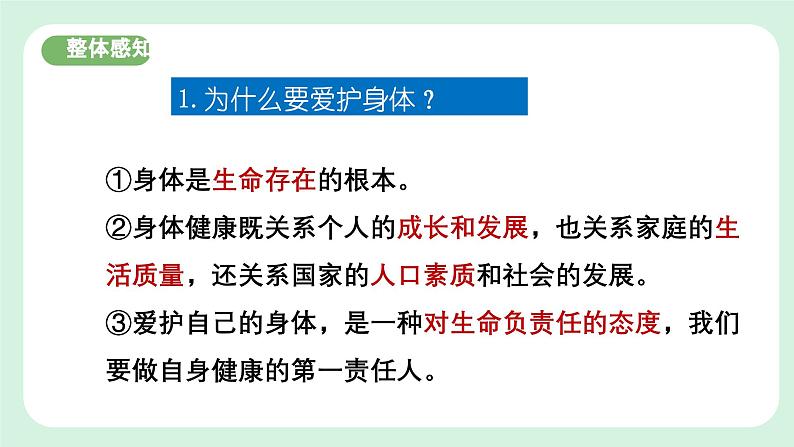 10.1《爱护身体》2024-2025学年七年级道德与法治课件第8页