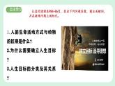 11.1《探问人生目标》2024-2025学年七年级道德与法治课件+教案