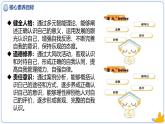 （统编版2024）七年级道德与法治上册2.1认识自己 课件
