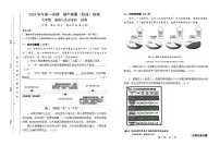 上海市浦东新区建平南汇实验教育集团（五四制）2024-2025学年九年级上学期期中考试道德与法治试题