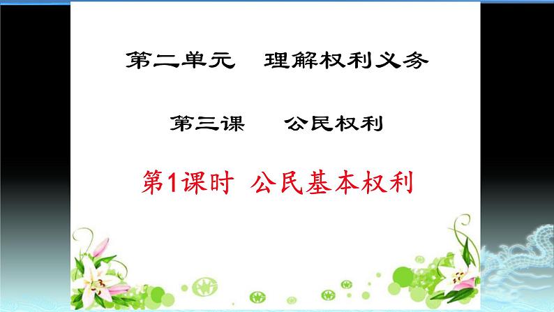 2020-2021学年人教版道德与法治八年级下册 3.1 公民基本权利 课件03