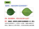 2.2 做更好的自己 七年级道德与法治上册优质课件（统编版2024）