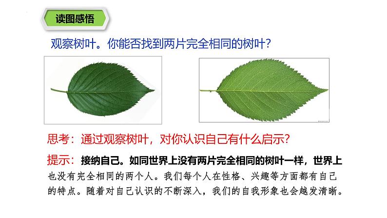 2.2 做更好的自己 七年级道德与法治上册优质课件（统编版2024）05