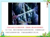 初中 道德與法治人教版2024七年級上冊  第三單元 珍愛我們的生命  第八課 生命可貴認(rèn)識生命 課件