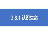 初中 道德与法治人教版2024七年级上册  第三单元 珍爱我们的生命  第八课 生命可贵认识生命 课件