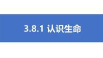 政治 (道德与法治)七年级上册（2024）认识生命精品ppt课件