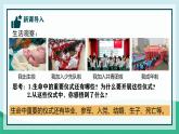 初中 道德与法治人教版2024七年级上册  第三单元 珍爱我们的生命  第八课 生命可贵认识生命 课件