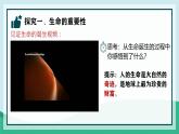 初中 道德与法治人教版2024七年级上册  第三单元 珍爱我们的生命  第八课 生命可贵认识生命 课件