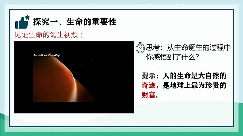 初中 道德与法治人教版2024七年级上册  第三单元 珍爱我们的生命  第八课 生命可贵认识生命 课件第4页