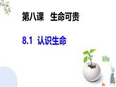 初中 道德与法治人教版2024七年级上册  第三单元 珍爱我们的生命  第八课 生命可贵认识生命 课件