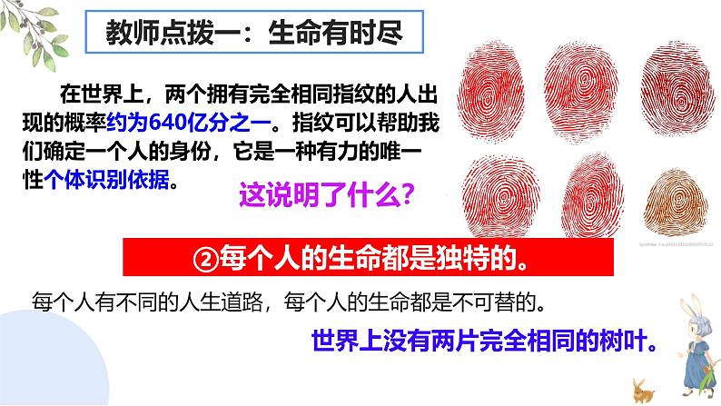 初中 道德与法治人教版2024七年级上册  第三单元 珍爱我们的生命  第八课 生命可贵认识生命 课件06