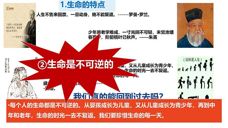 初中 道德与法治人教版2024七年级上册  第三单元 珍爱我们的生命  第八课 生命可贵认识生命 课件03