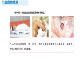 初中 道德与法治人教版2024七年级上册  第三单元 珍爱我们的生命  第八课 生命可贵认识生命 课件
