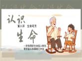 初中 道德与法治人教版2024七年级上册  第三单元 珍爱我们的生命  第八课 生命可贵认识生命 课件