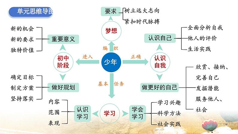 统编版（2024新版）七年级上册道德与法治第一单元《少年有梦》复习课件第4页