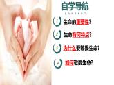 （人教版2024）七年级道德与法治上册同步第八课 生命可贵 课件+教学设计+知识清单+分层练习含解析版+素材