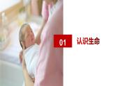 （人教版2024）七年级道德与法治上册同步第八课 生命可贵 课件+教学设计+知识清单+分层练习含解析版+素材