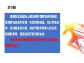 初中道德与法治人教版2024七年级上册 第三单元 珍爱我们的生命 第九课 守护生命安全增强安全意识 课件