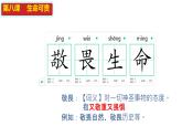 初中道德与法治人教版2024七年级上册 第三单元 珍爱我们的生命 第八课 生命可贵敬畏生命 课件